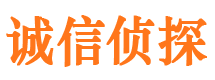 资中市私家侦探